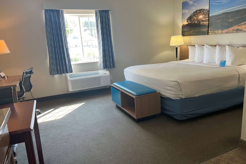 Room, 1 King Bed, Accessible