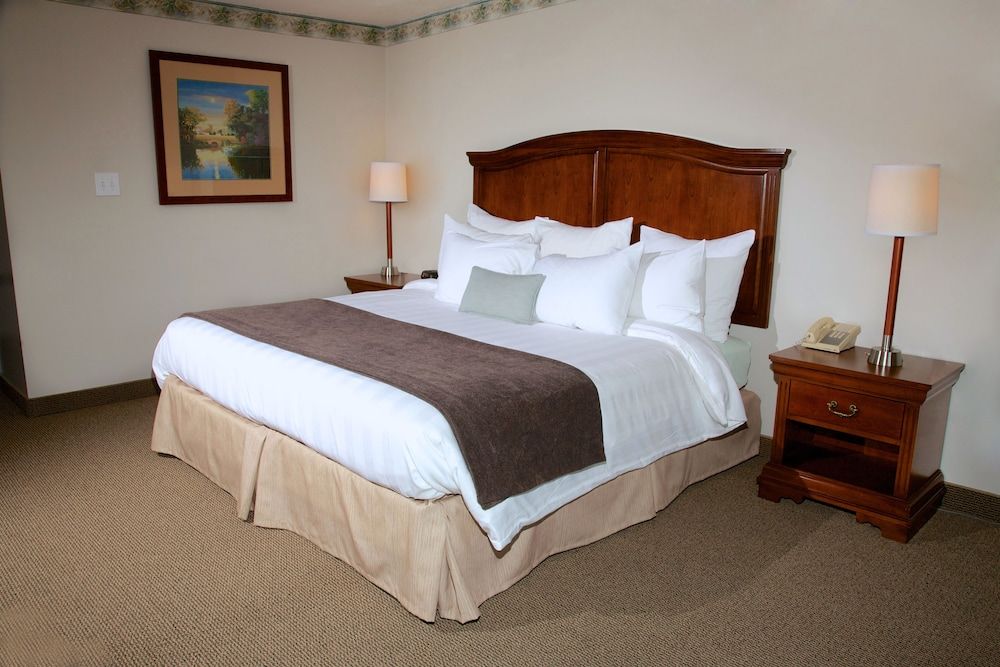 Deluxe Room, 1 King Bed with Sofa bed