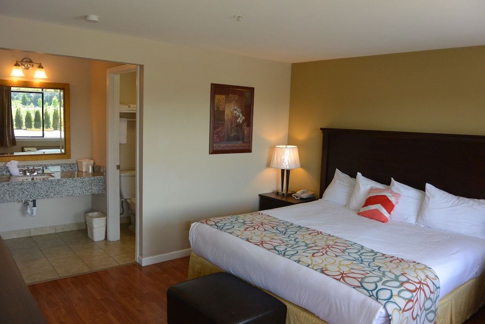 Room, 1 King Bed, Non Smoking