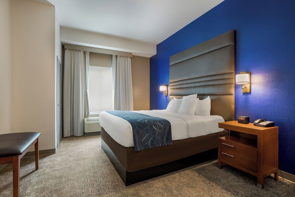 Suite, 1 King Bed with Sofa bed, Non Smoking