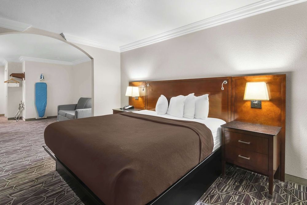 Suite, 1 King Bed, Accessible, Refrigerator & Microwave (with Sofabed)