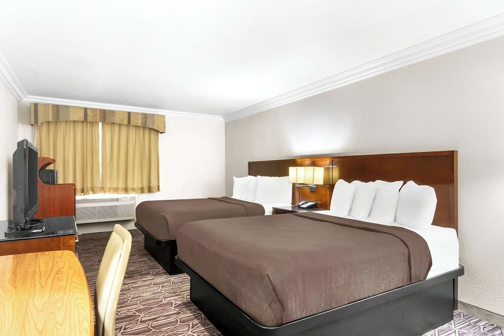 Standard Room, 2 Queen Beds, Accessible, Refrigerator & Microwave