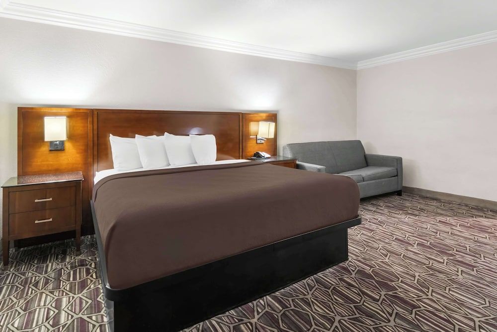 Standard Room, 1 King Bed, Accessible, Refrigerator & Microwave (with Sofabed)