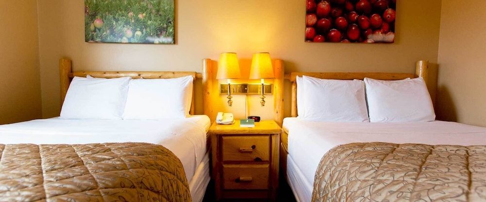 Cranberry Country Lodge Room (Mallard Suite Stairs access only) 3