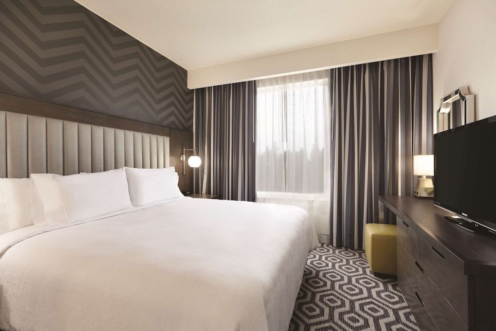 Room, 1 King Bed, Accessible, Non Smoking