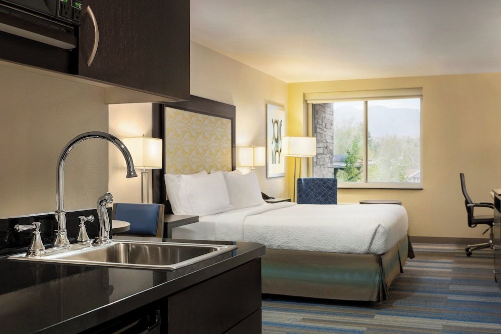 Suite, 1 King Bed, Mountain View