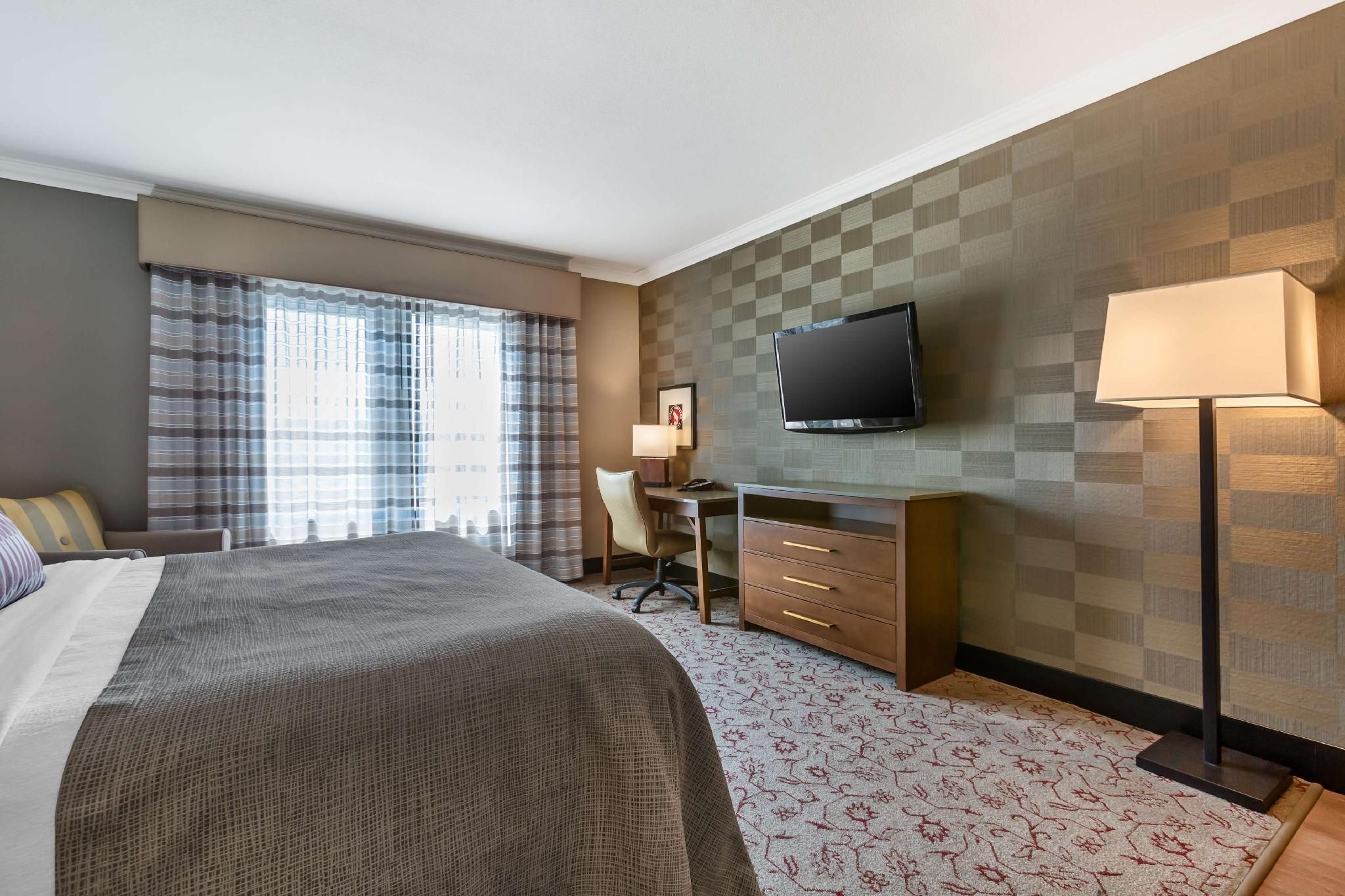 Accessibility - 1 King Bed, Roll-in Shower, Nonsmoking
