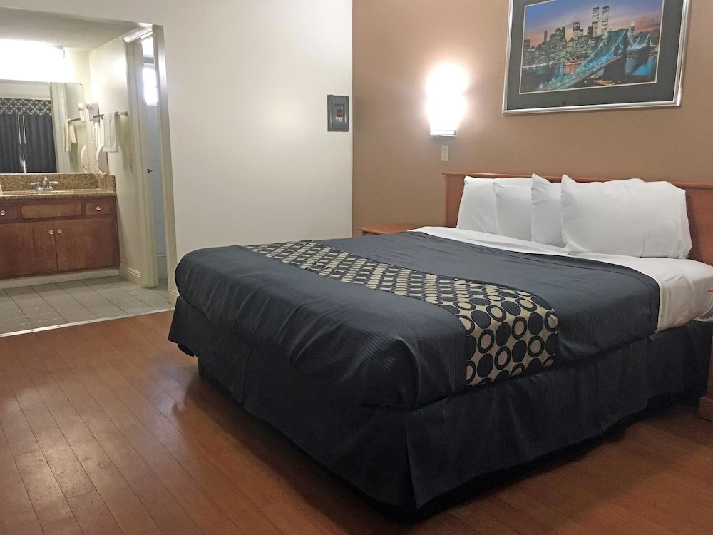 Room, 1 King Bed, Non Smoking