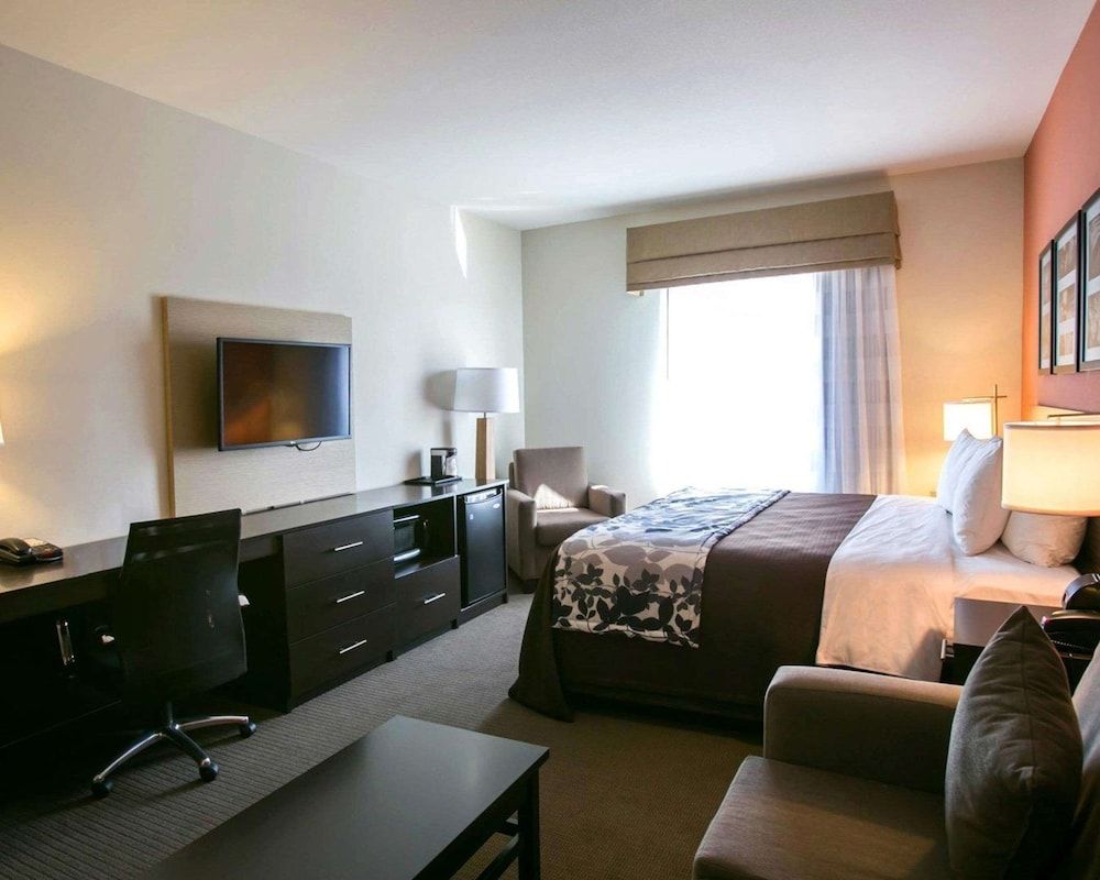 Suite, 1 King Bed with Sofa bed, Non Smoking