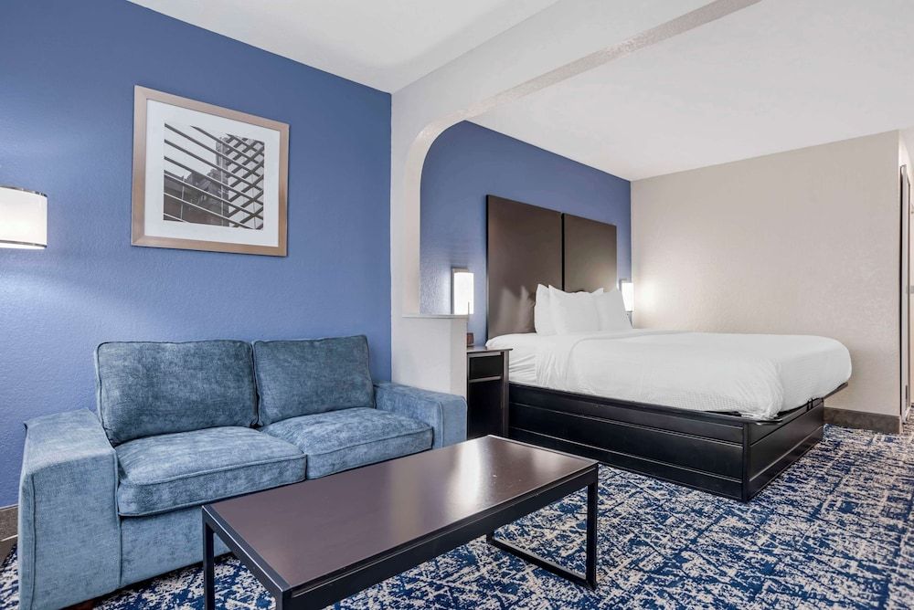Suite, 1 King Bed, Non Smoking, Refrigerator & Microwave (with Sofabed)