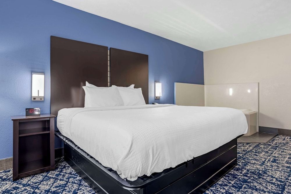 Standard Room, 1 King Bed, Non Smoking, Jetted Tub (with Sofabed)
