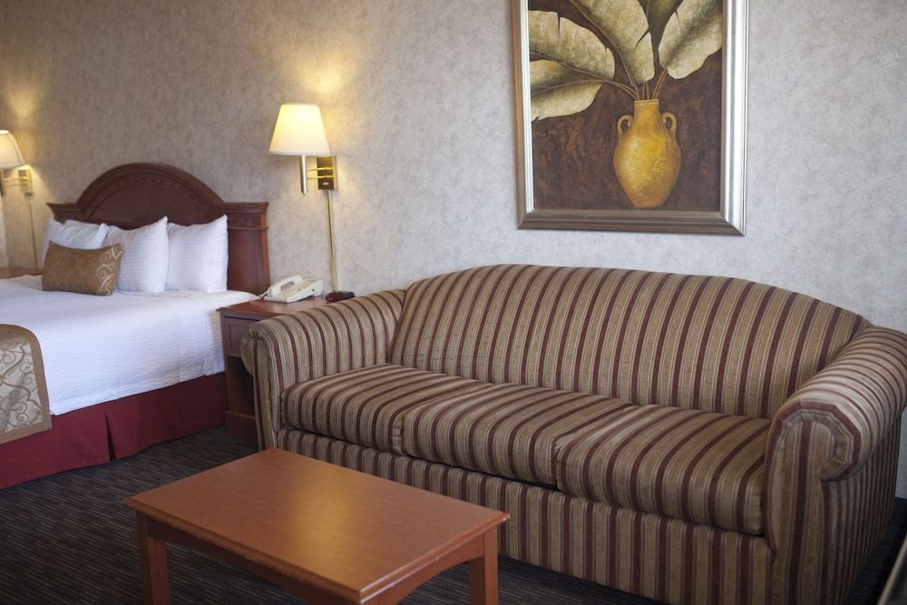 Standard Room, 1 King Bed with Sofa bed