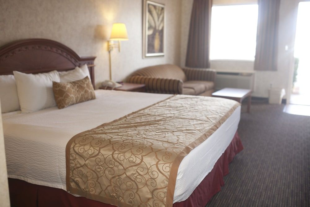 Standard Room, 1 King Bed with Sofa bed