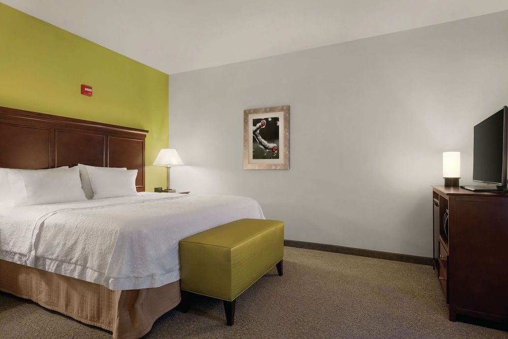 Room, 1 King Bed, Accessible, Bathtub (Mobility)