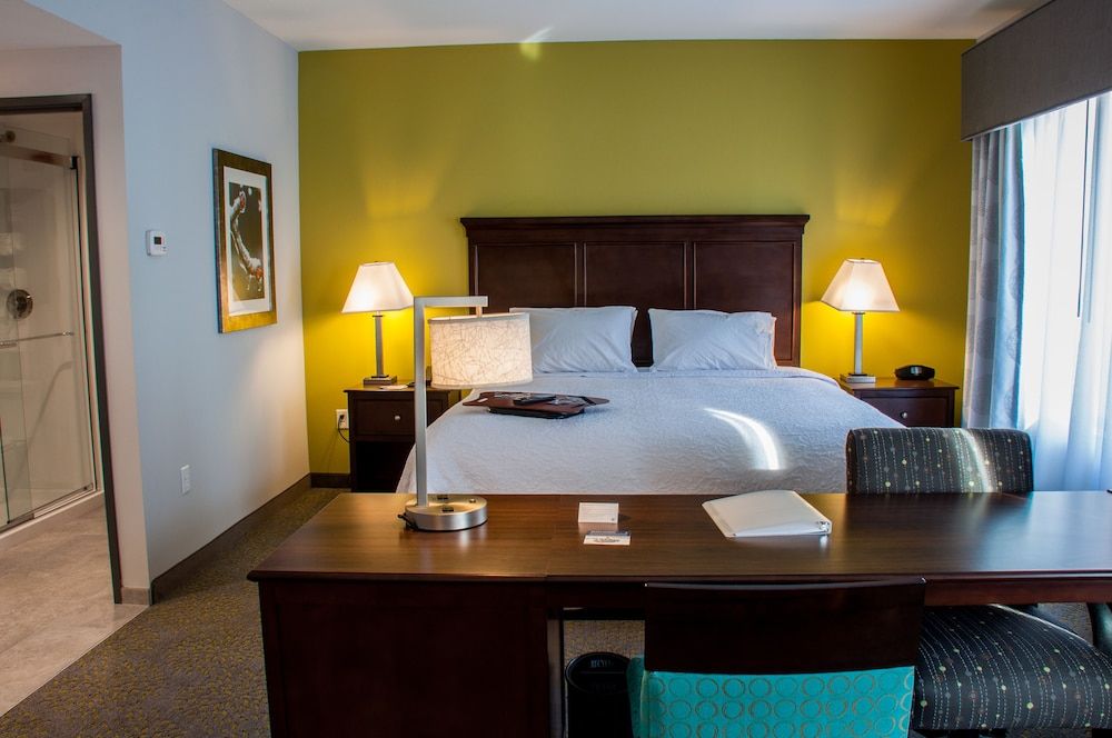 Studio, 1 King Bed, Accessible (Mobility & Hearing, Roll-In Shower)