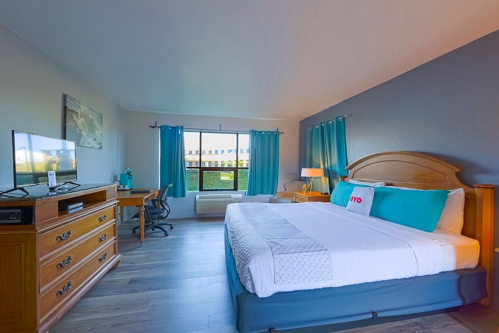 Room, 1 King Bed
