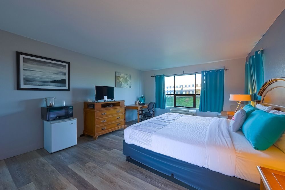 Room, 1 King Bed