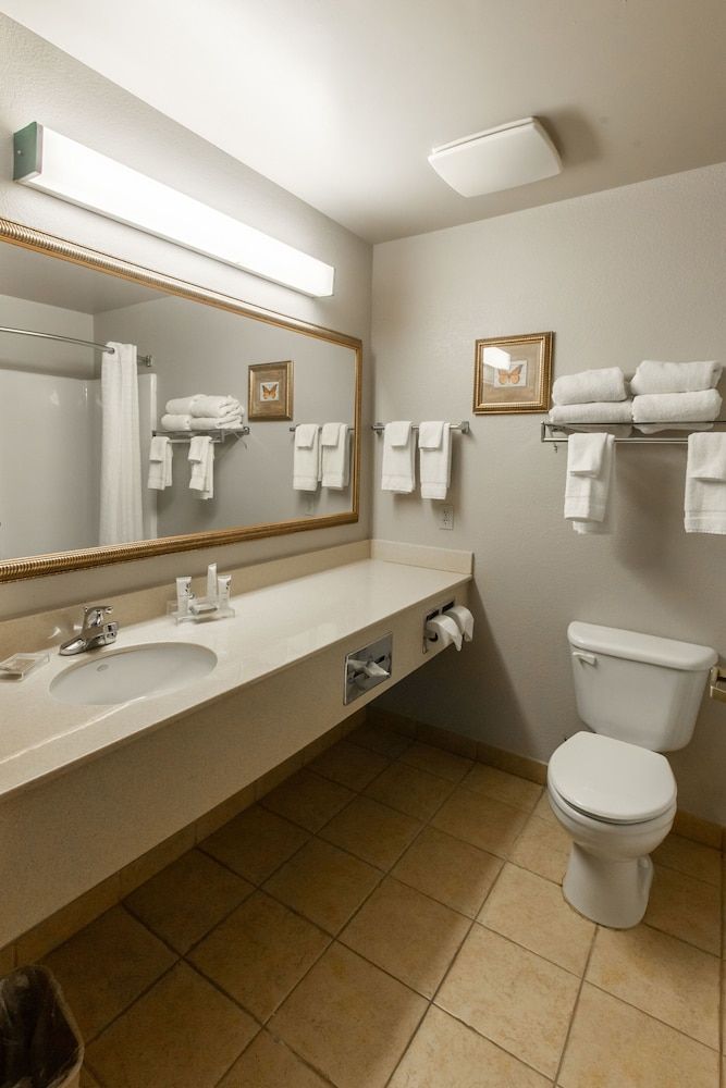 Suite, 1 Bedroom, Non Smoking