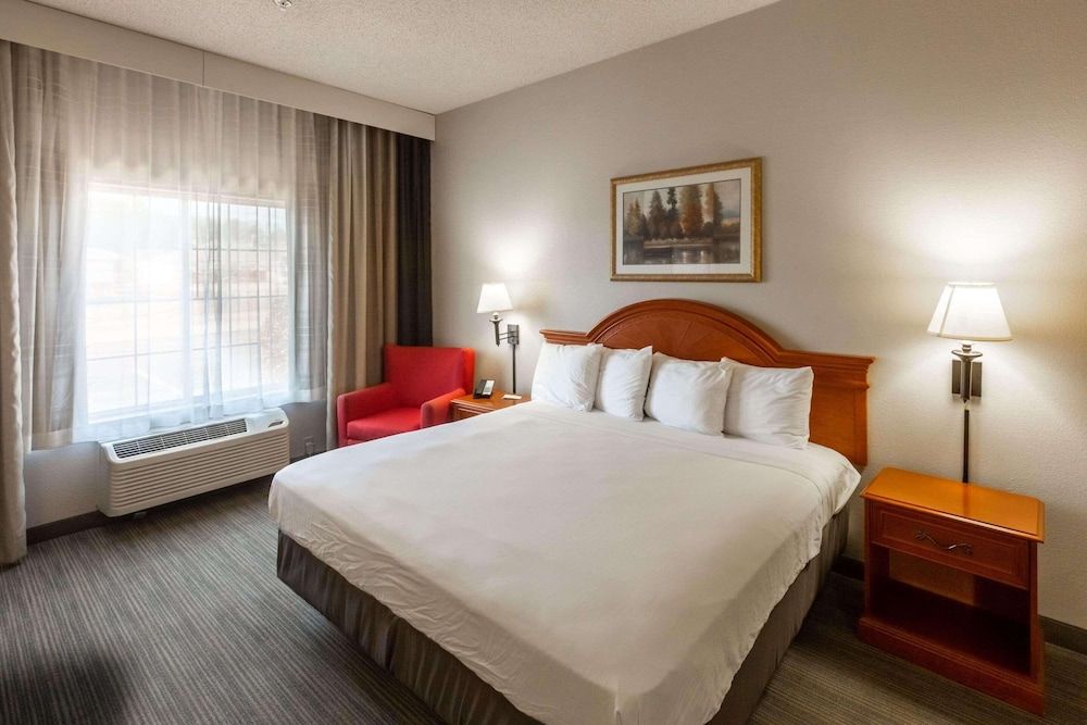 Room, 1 King Bed, Non Smoking