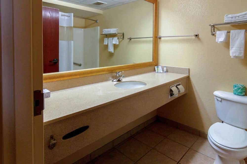 Hotel M Mount Pocono Standard Room, 1 King Bed 10