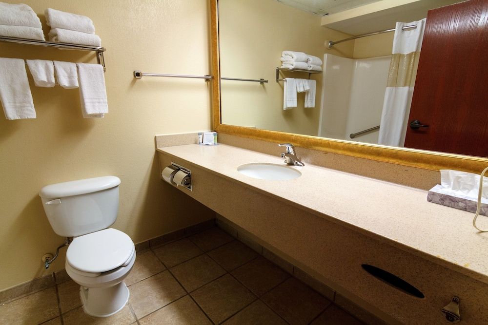 Hotel M Mount Pocono Standard Room, 1 King Bed 8