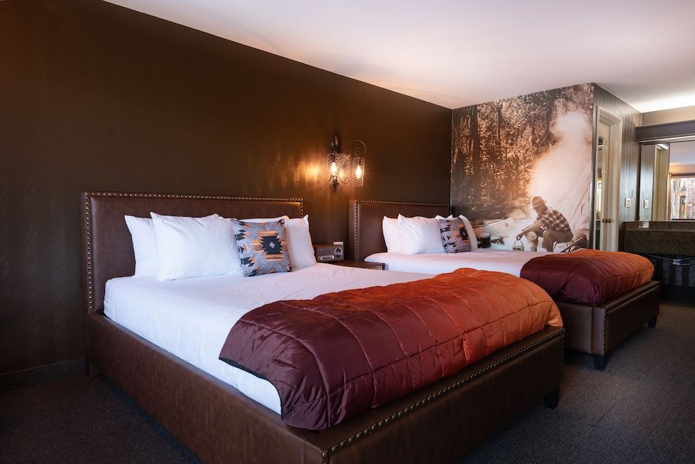 Campfire Hotel Campfire Double Pet Friendly 3