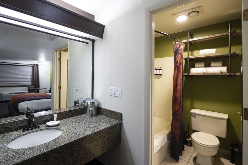 Campfire Hotel Accessible King Pet Friendly 3