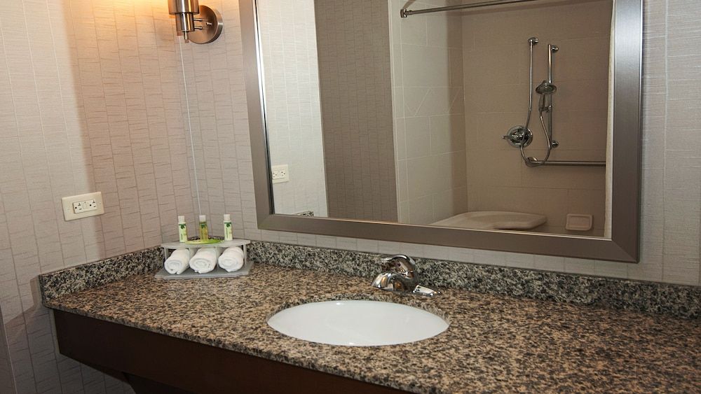Standard Room, 1 King Bed, Mobility Accessible (Roll-In Shower)