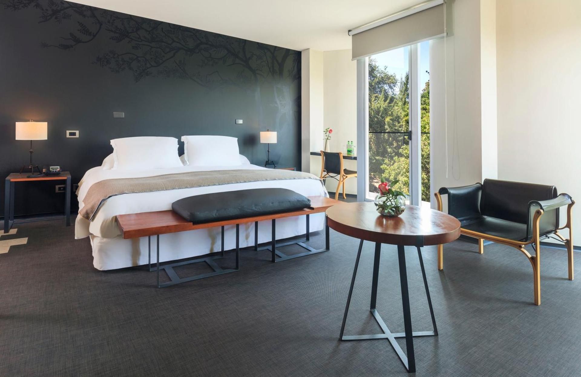 undefined Hotel Ismael 6