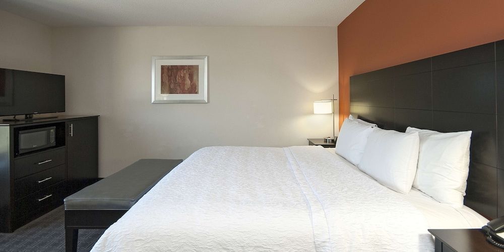 Room, 1 King Bed