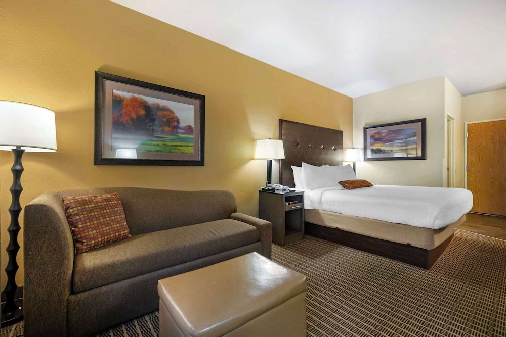 Suite, 1 King Bed, Non Smoking, Refrigerator & Microwave (with Sofabed)