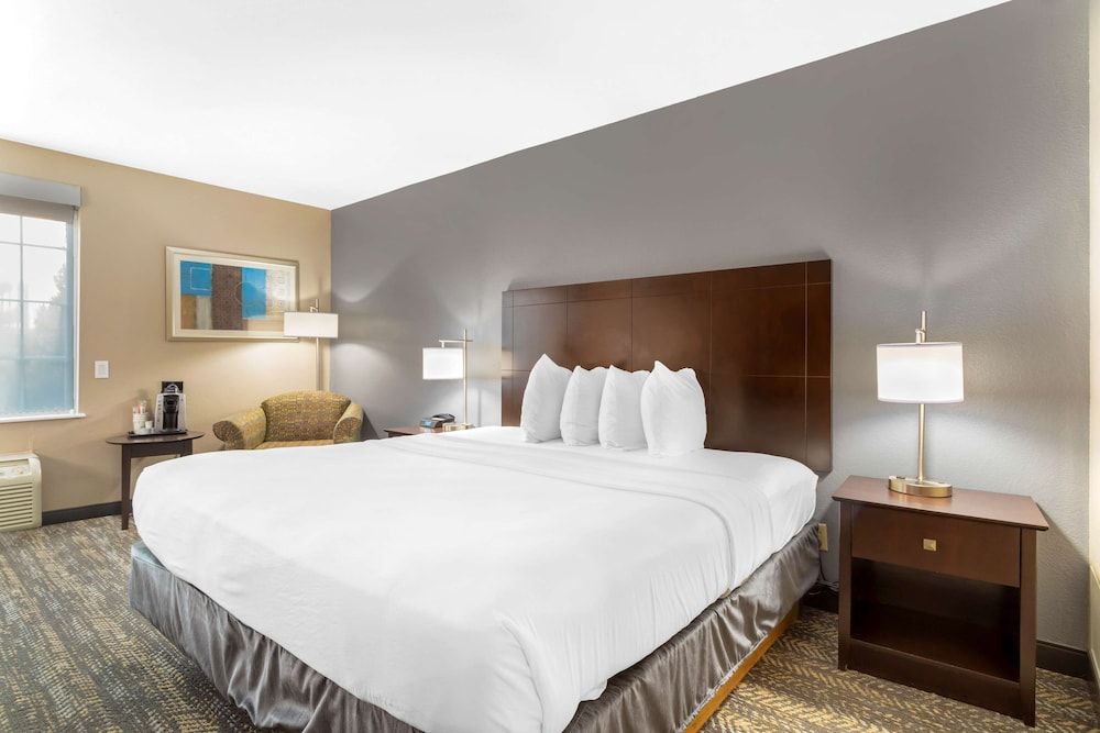 Standard Room, 1 King Bed, Non Smoking, Refrigerator & Microwave