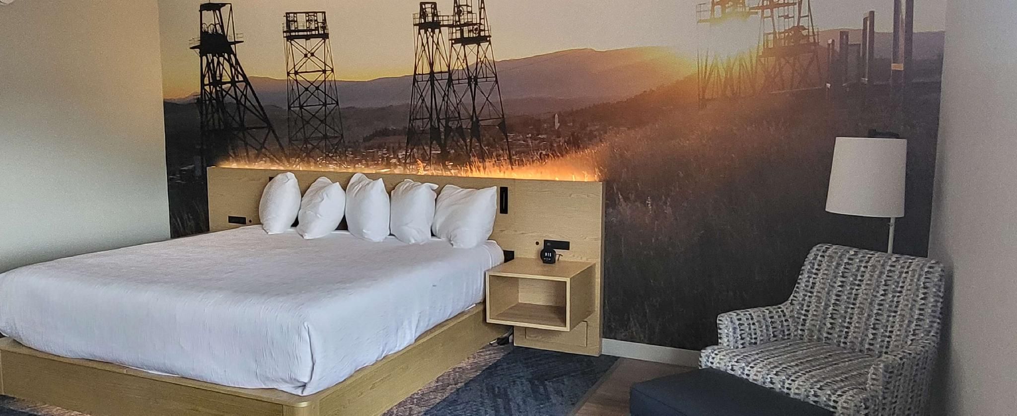 Suite-1 King Bed, Nonsmoking, Larger Room, Shower Only, No Pets Allowed