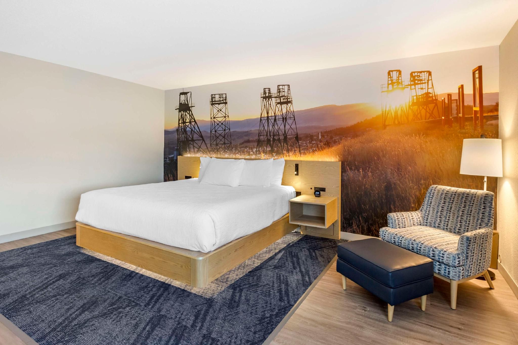 1 King Bed, Nonsmoking, Shower Only, No Pets Allowed