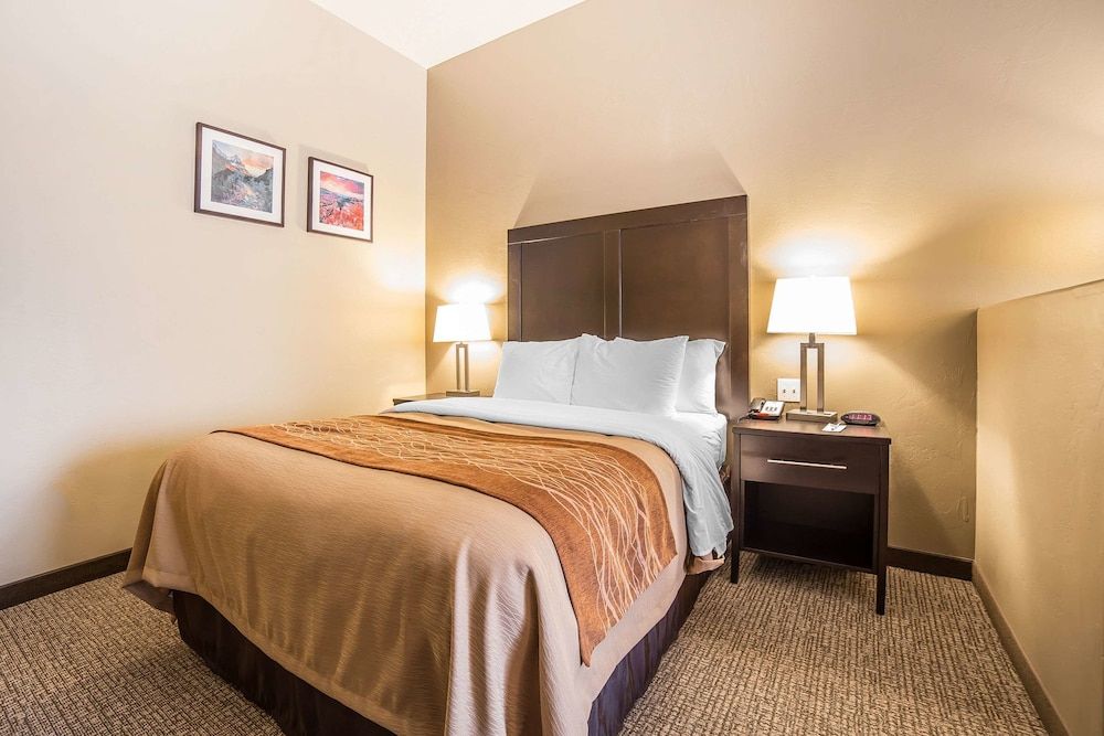 Room, 1 King Bed, Non Smoking