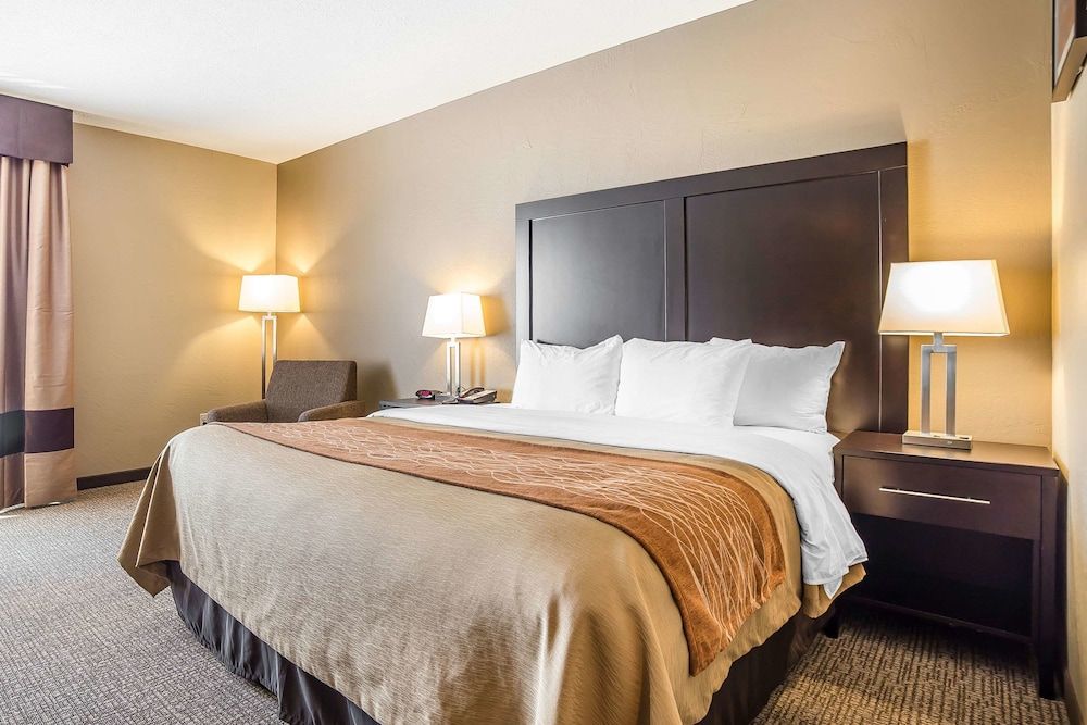 Suite, 1 King Bed with Sofa bed, Non Smoking (2 Person Sofa Bed)