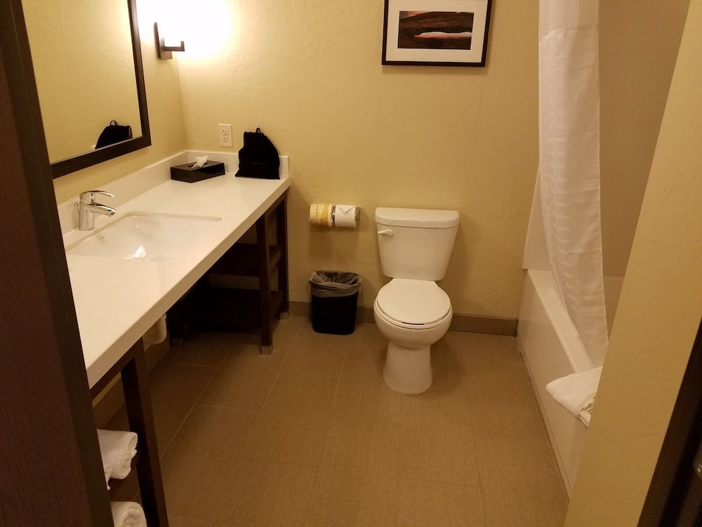 Room, 1 King Bed, Accessible, Non Smoking