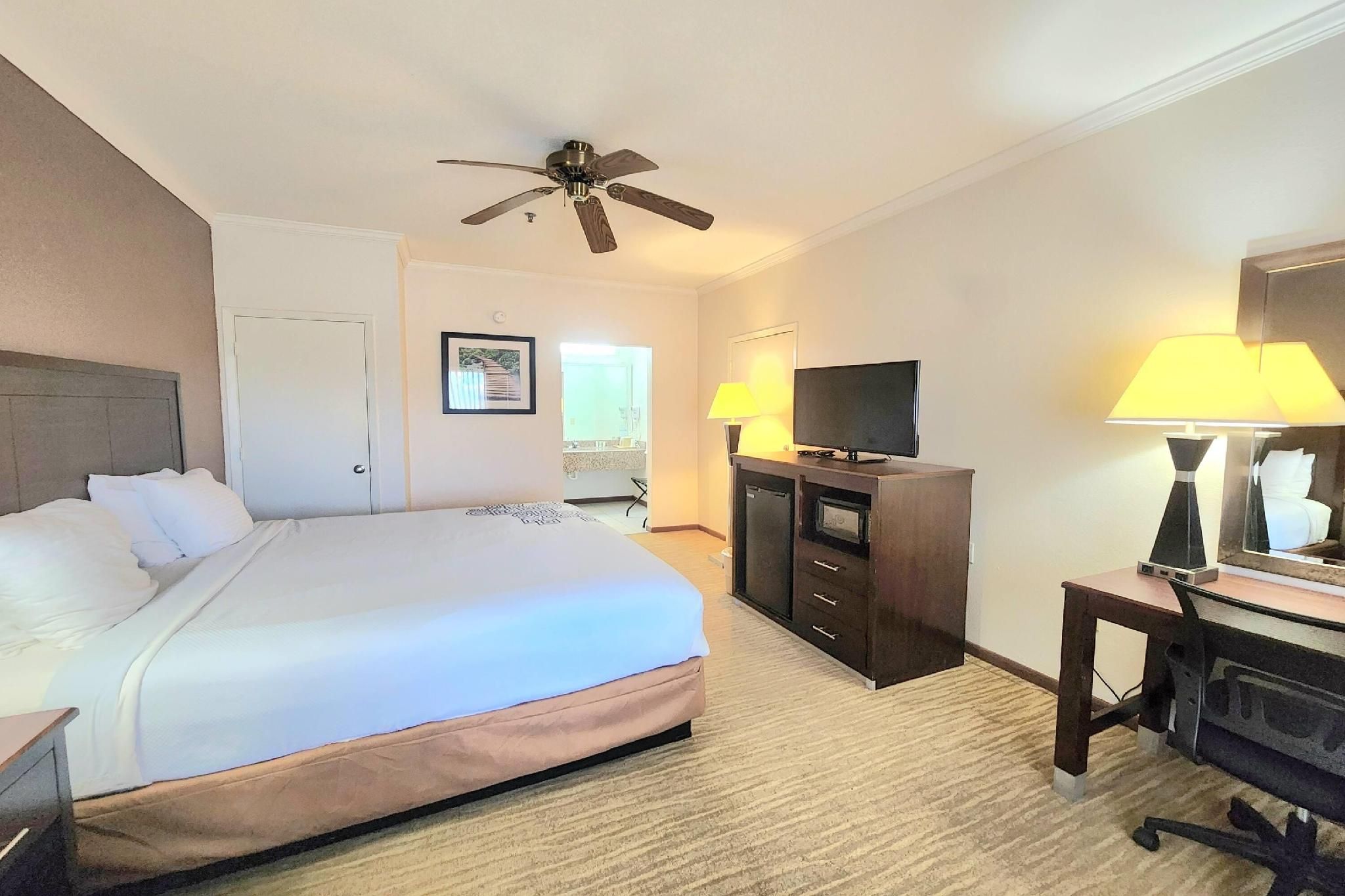 1 King Bed, Studio Suite, Non-Smoking