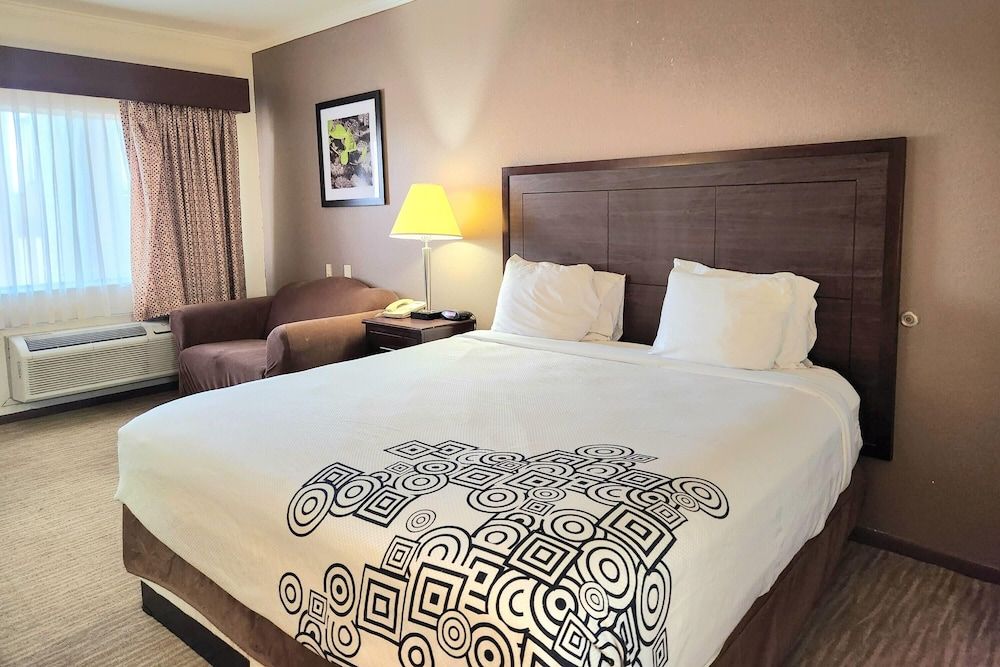 Room, 1 King Bed, Accessible, Non Smoking (Mobility, Bathtub w/grab bars)