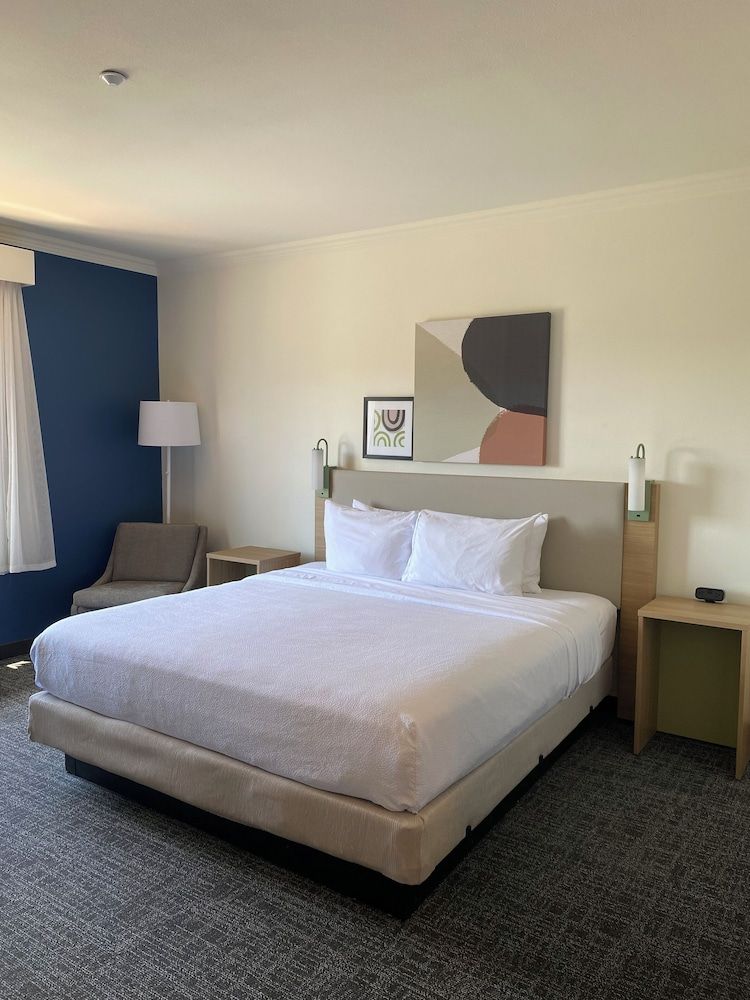 Spark by Hilton Yucca Valley Joshua Tree Room, 1 King Bed with Sofa bed 3