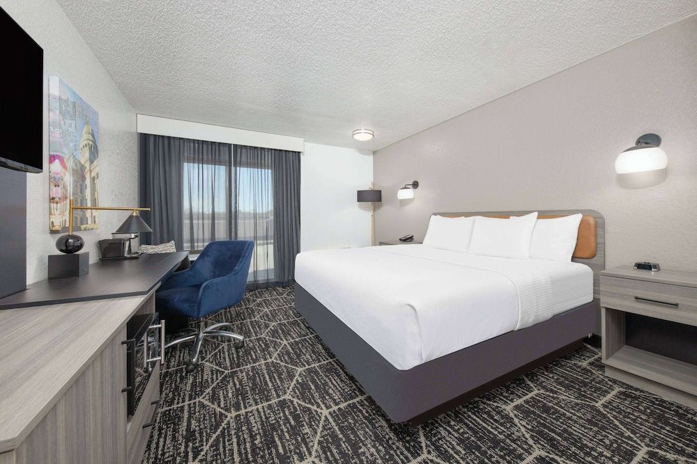 Room, 1 King Bed