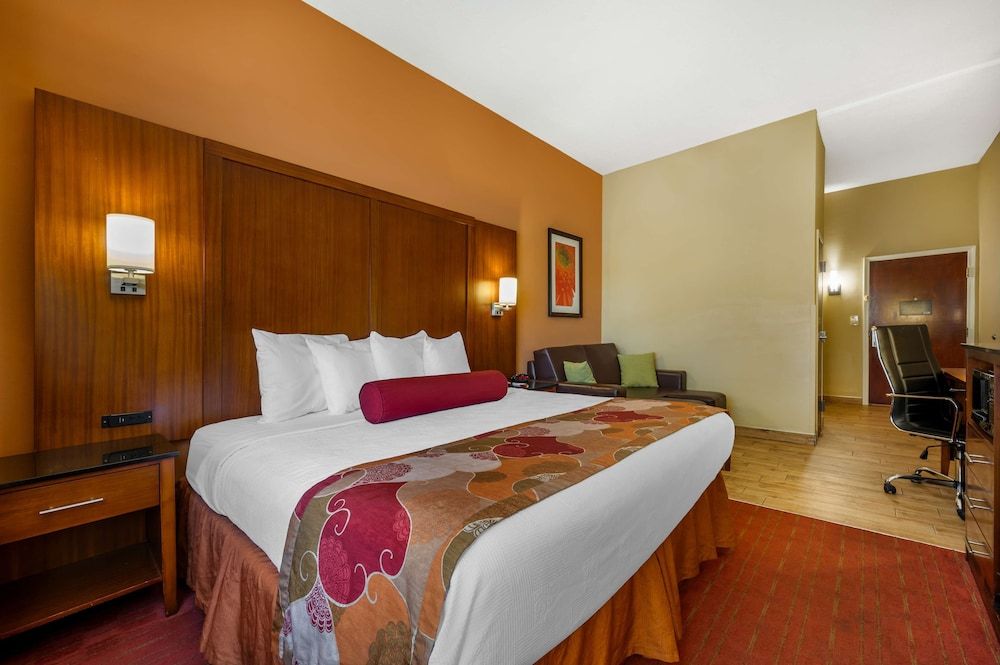 Standard Room, 1 King Bed, Accessible, Non Smoking