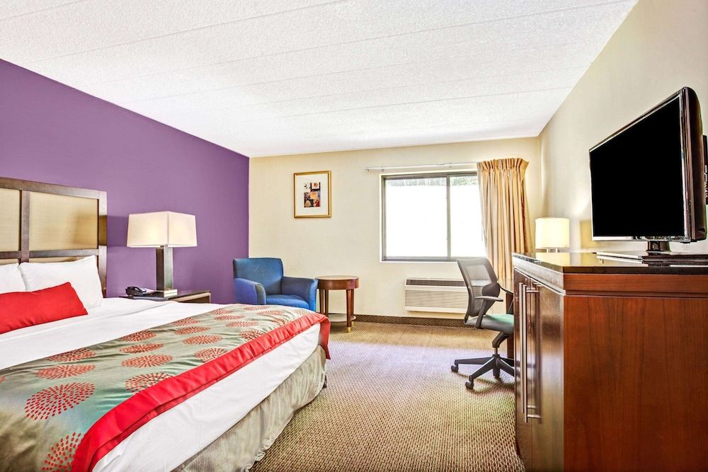 Room, 1 King Bed, Non Smoking