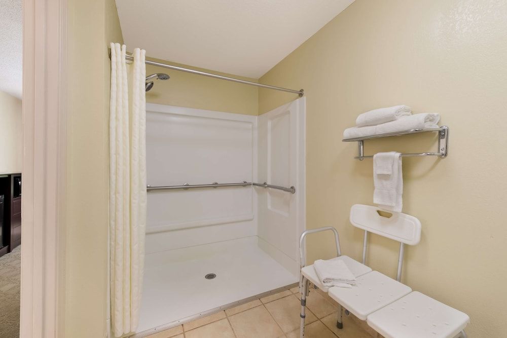 Suite, 1 King Bed, Accessible, Refrigerator & Microwave (with Sofabed)