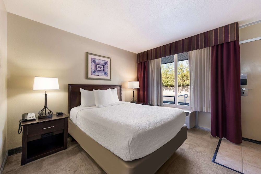 Standard Room, 1 Queen Bed, Accessible, Refrigerator & Microwave