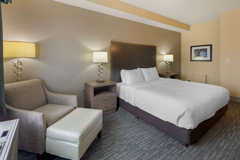 Best Western Plus Chena River Lodge Standard Room, 1 King Bed, Non Smoking, Refrigerator 4