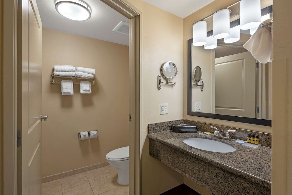 Best Western Plus Chena River Lodge Standard Room, 1 King Bed, Non Smoking, Refrigerator 8