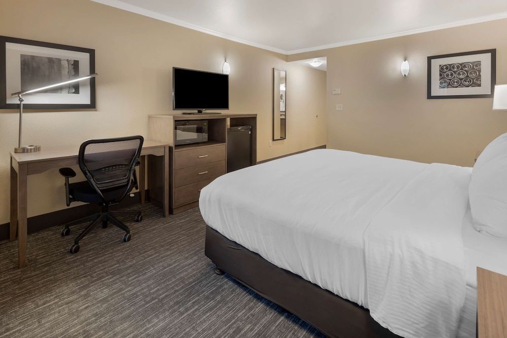 Best Western Plus Chena River Lodge Standard Room, 1 King Bed, Non Smoking, Refrigerator 2