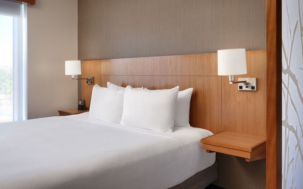 Room, 1 King Bed with Sofa bed