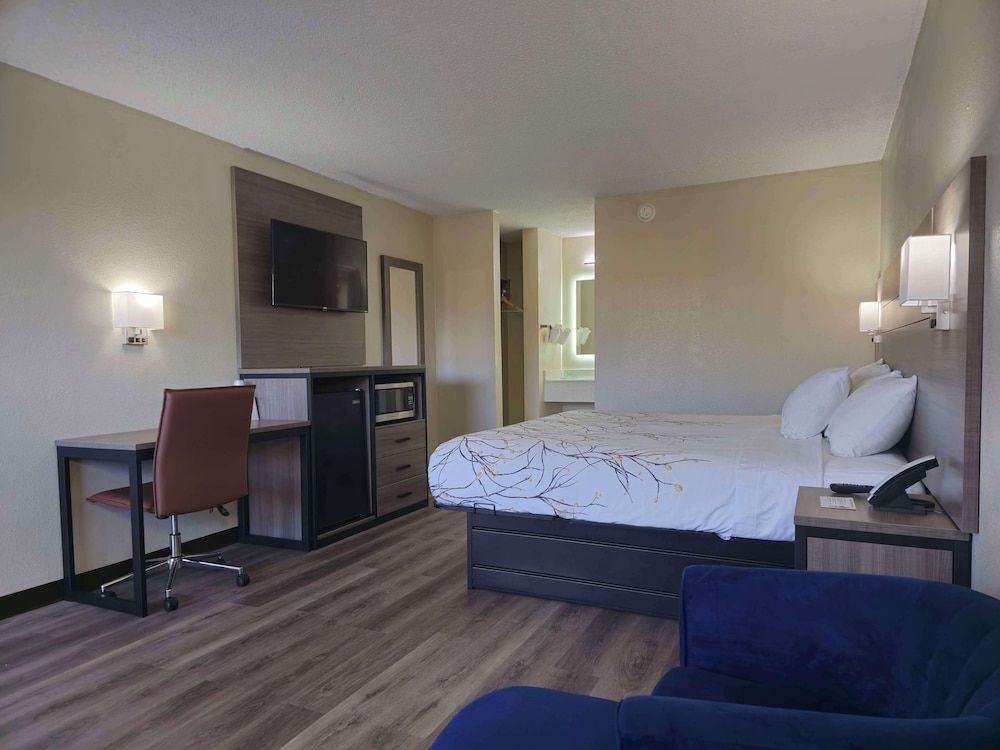 Room, 1 King Bed, Non Smoking